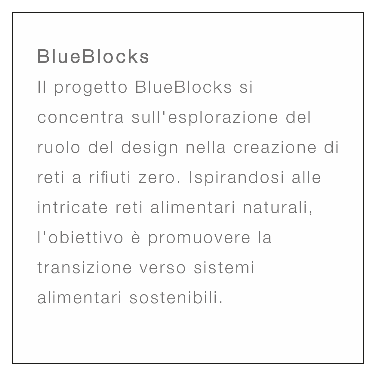 20a Materioteca Virtuale descrizione BLUEBLOCKS 12