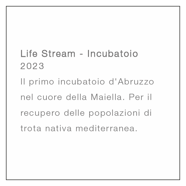 News lifestream descrizione